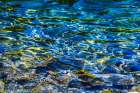 Gold Lake water reflections, Snoqualmie Pass, Washington State, Usa. Art Print